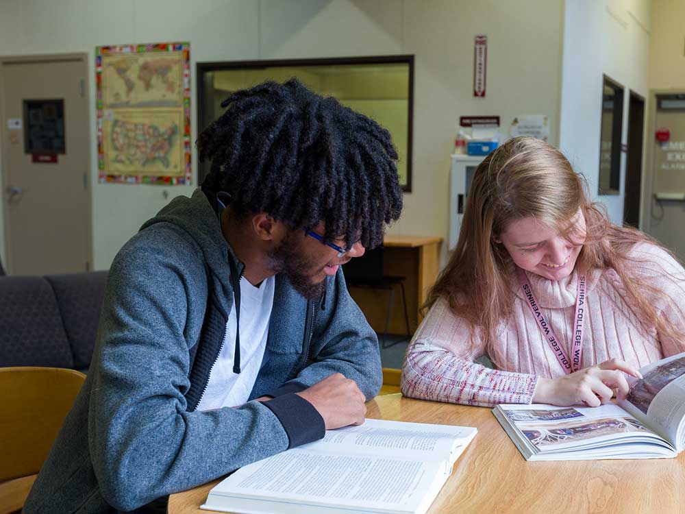 Male and female student studying together